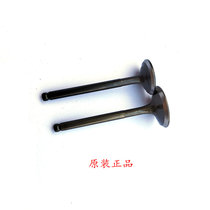 Applicable to SYM Xiamen Sanyang motorcycle Titan F1 XS125T-2B-2D-2C-2E intake and exhaust valves