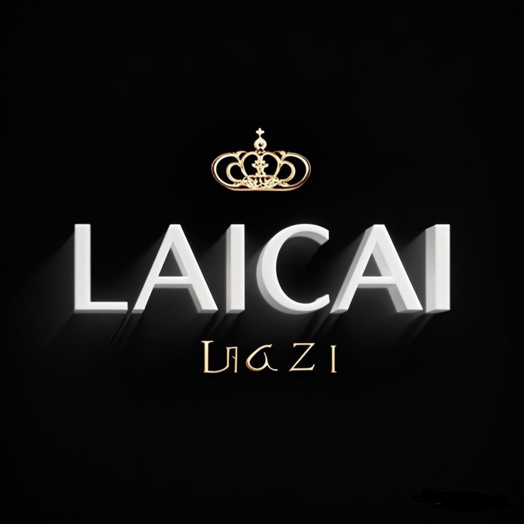 LAICAI来财壳壳
