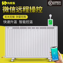 Haios intelligent remote control steel plate household water injection plus hydropower radiator heater energy saving and power saving
