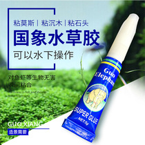 New moss water plant glue national elephant heavy wood stone fish tank landscaping fixed moss moss glue box