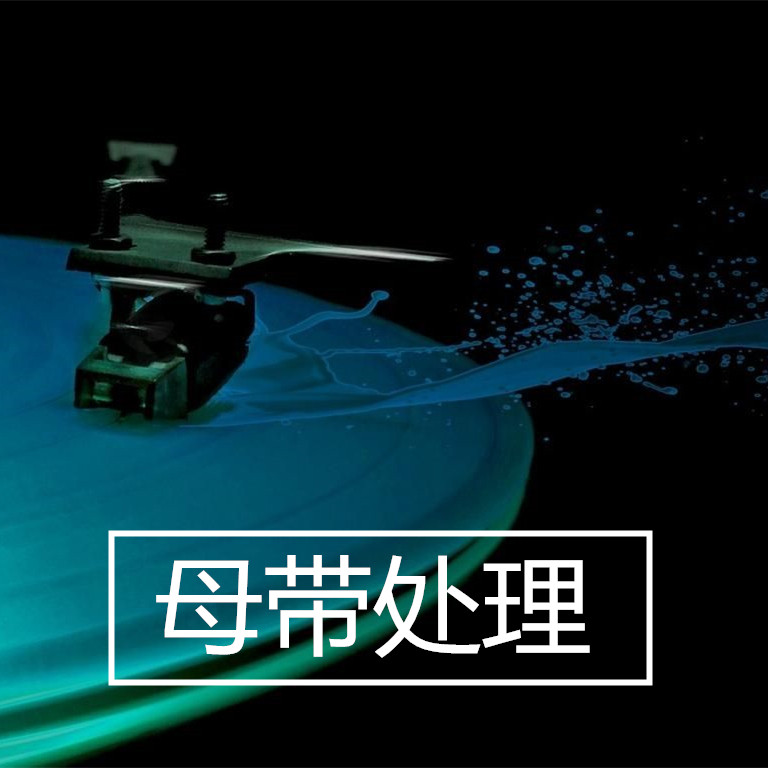 (84 Living Services Studio) Mother Belt handles 320kbps format WAV quality conversion