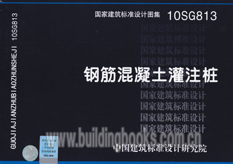 【正版】钢筋混凝土灌注桩(10SG813)