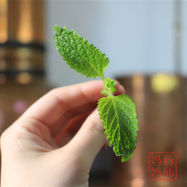 Flower time shadow fragrant bee grass pure Dew self-planted 250ml conditioning sensitive hyperoxygen ancient method copper pot distillation 2 bottles