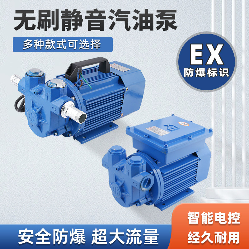 Large flow gasoline diesel methanol explosion-proof oil pump 12V24V220V electric brushless pump silent pump self-priming pump