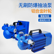 Explosion-proof petrol diesel methanol oil pump 12V24V220V electric oil pumping pump self-priming pump muted explosion-proof oil pump