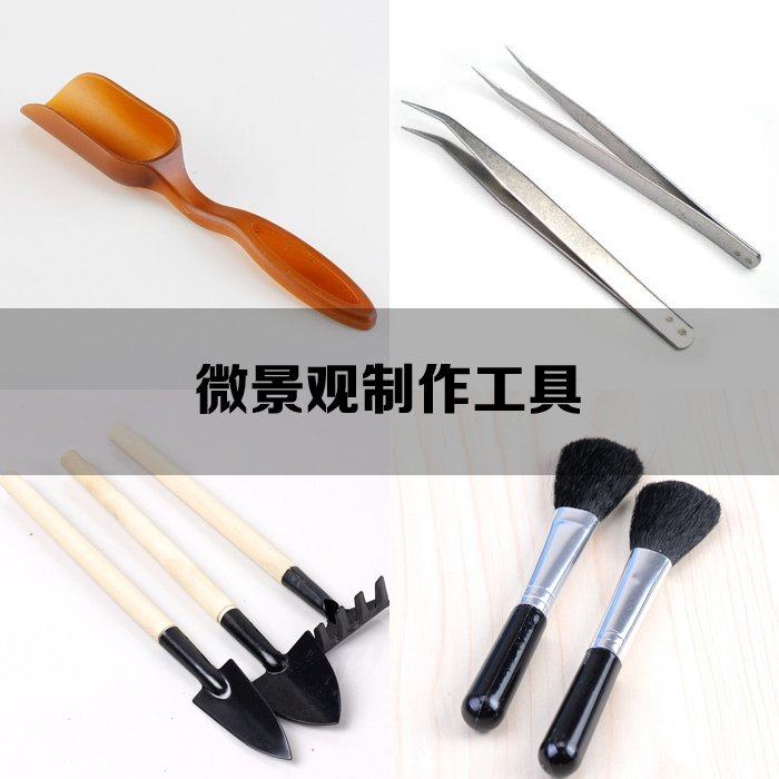 Moss Microscape Eco Bottle Watering Pot Spray Jug Tweezers Multi-Meat Plant Combined Potted Plants Common Diy Tools