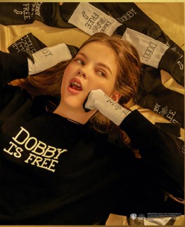 In-Stock Korean Spao Harry Potter Collaboration 19 Spring Collection Letter Print Unisex Couple Version Loose Round Neck Pullover Sweatshirt