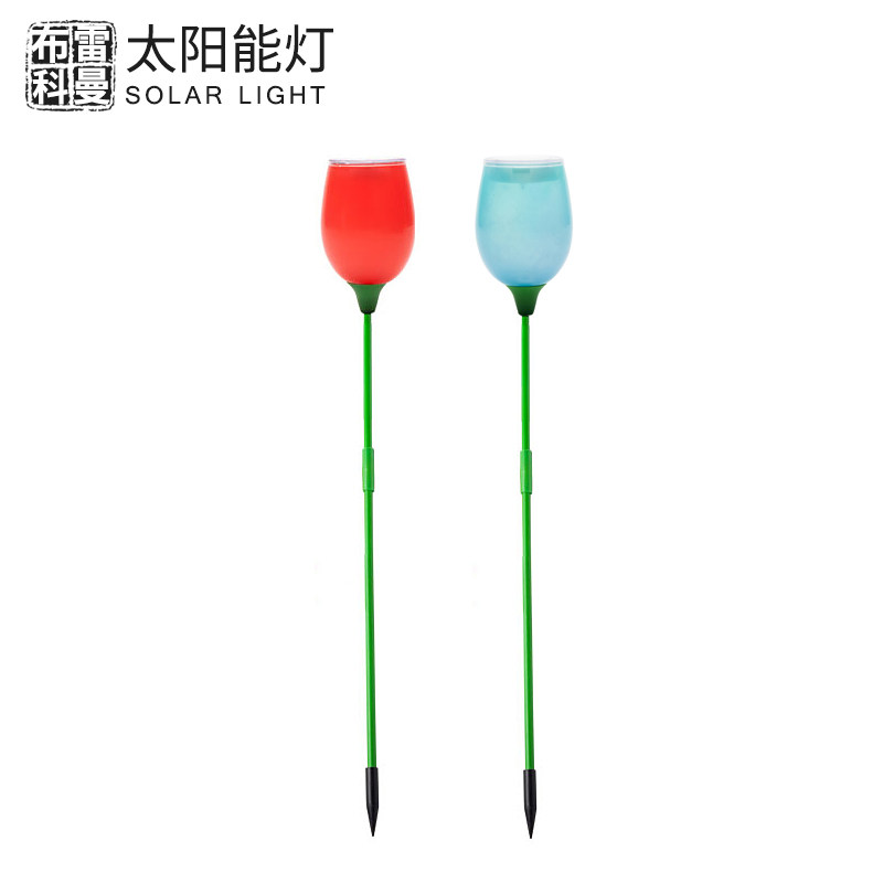 ���׿���̫���ܻ���ͥԺ��ƺ��