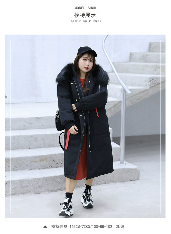 Cô gái béo, em gái béo, cộng với quần áo nữ size, áo khoác cotton mùa đông mới và ấm áp của Hàn Quốc, cộng với áo khoác dày chất béo - Bông