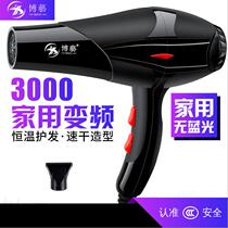 Blue light negative ion fragrance Boyi hair dryer High power 3000W hair salon special hair dryer