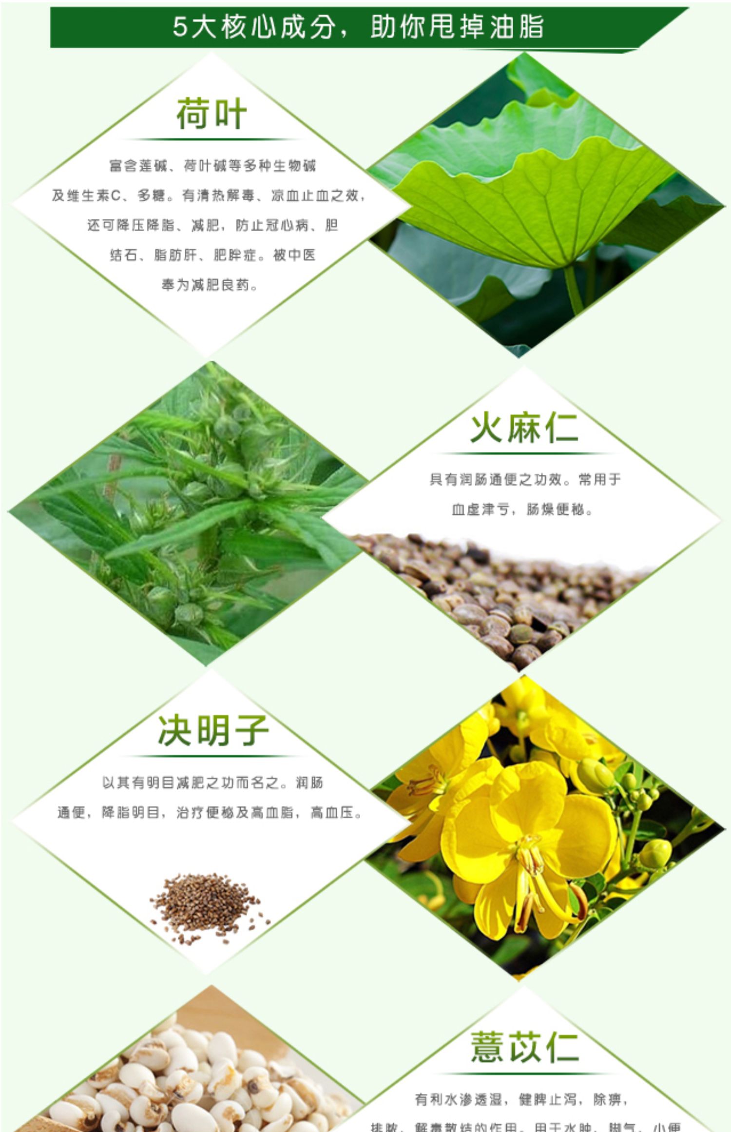 【樱花】减肥茶全身燃脂排油瘦腰身