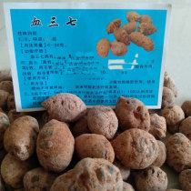 Tibet blood Sanqi Yunnan blood Sanqi 500 grams of premium red Sanqi fell hit in herbal materials Wine medicine materials