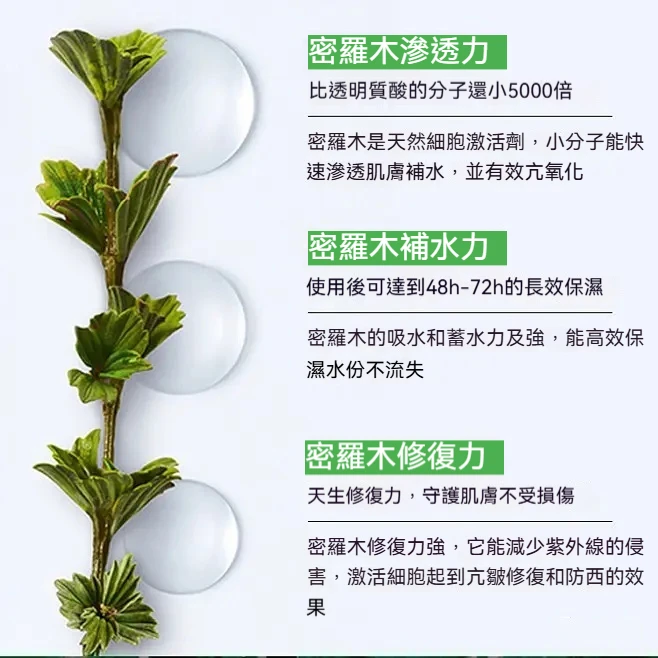 bd5b7644-19db-4b6a-a8e0-daf0c2e6ddbb.webp