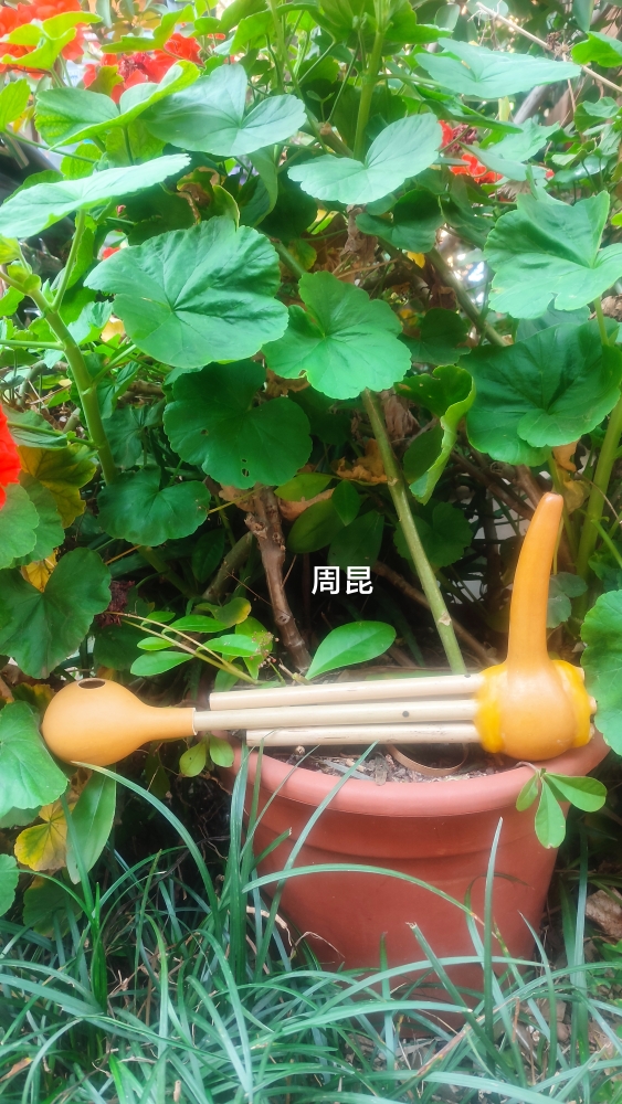 Sheng Gourd Sheng One ruler Lijiang Diqing Five-pipe copper tongue Double tone Lisu family Non-relic manufacturer Direct sales can be developed ticket-Taobao