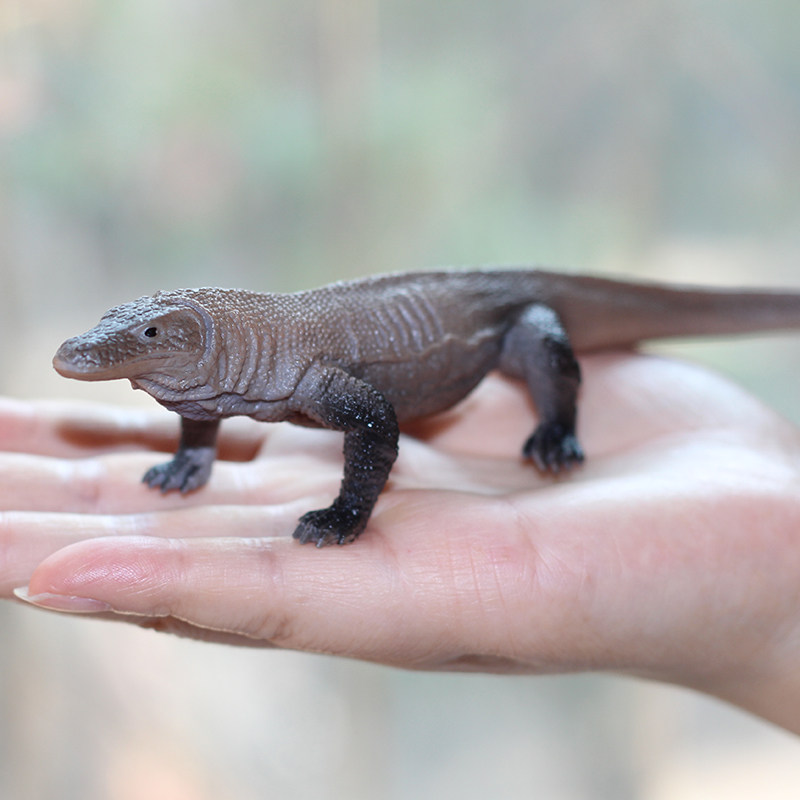 Cross-border Wildlife Simulation Model Comoro Dragon Solid Static Plastic Lizard Model Giant Lizard Pendulum Toy