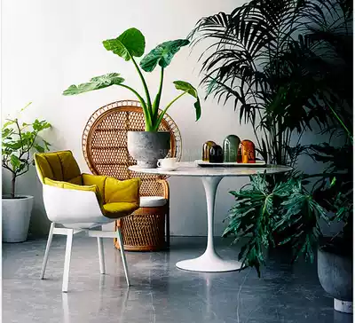 Dining chair hotel chair rice husk chair muscle chair Designer fiberglass rice field chair Hotel leisure negotiation chair