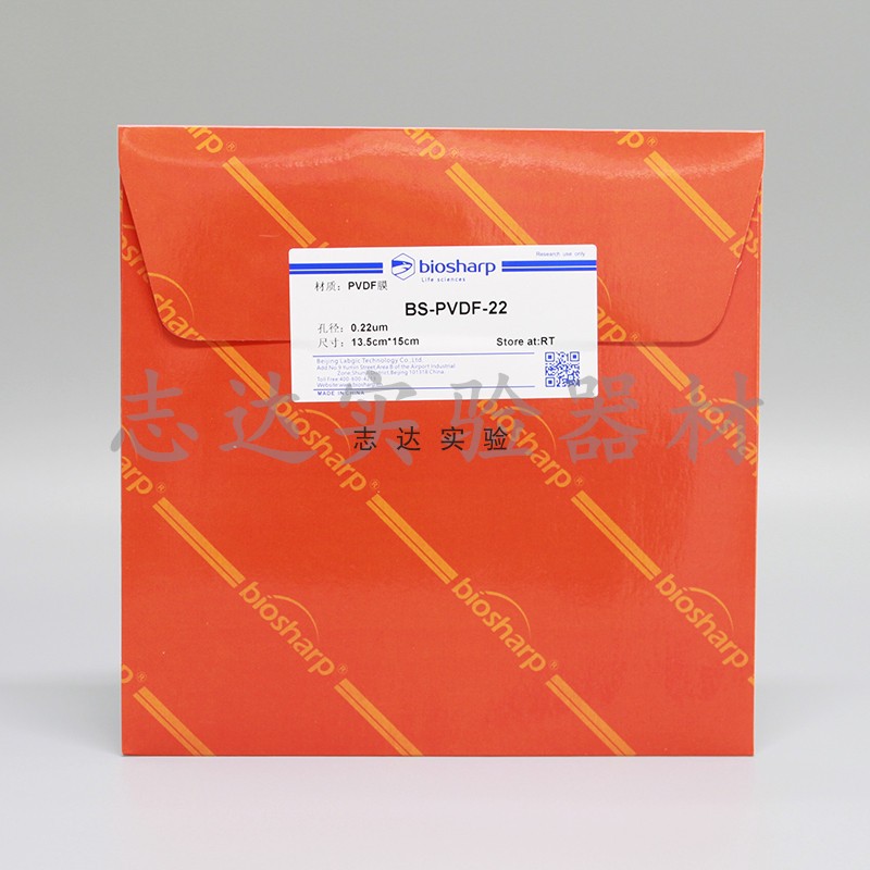 Biosharp PVDF (Polyvinylidene Fluoride)转印膜PVDF膜15cm*13.