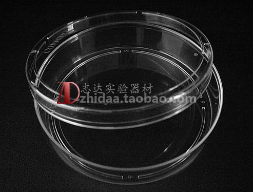 【志达实验】 Corning/康宁 100mm细胞培养皿 430167