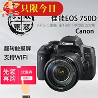 Bộ mức nhập cảnh máy ảnh DSLR Canon / Canon EOS 750D mới hỗ trợ hiệu suất vượt trội WIFI - SLR kỹ thuật số chuyên nghiệp máy ảnh canon 750d