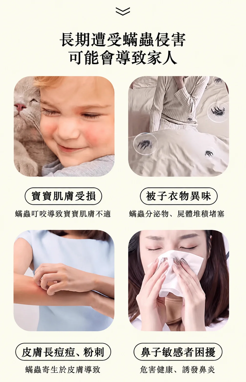 06.webp