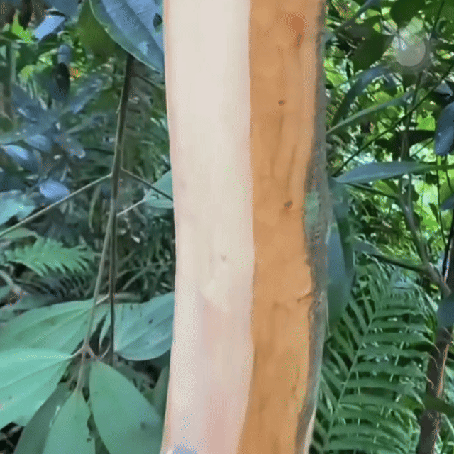 DM_20260430105318_017.gif