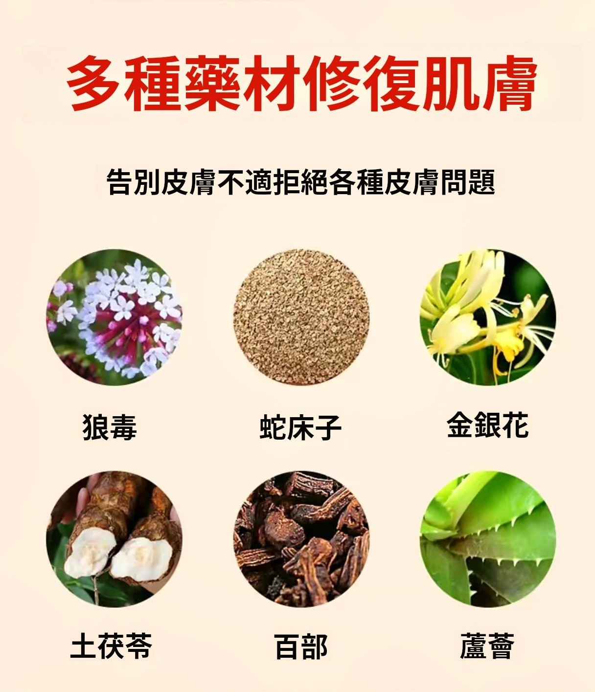 详情08.jpg