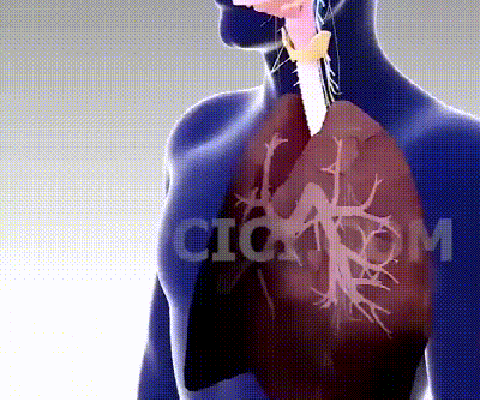 详情17.gif