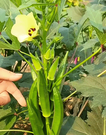 DM_20260423145947_017.gif