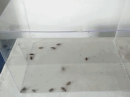 20260414_111044_008.gif