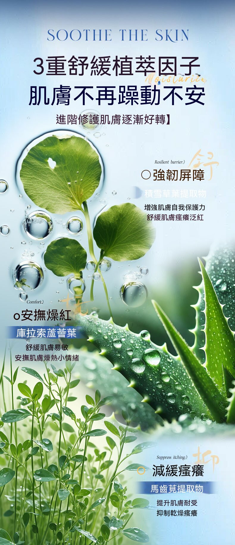 详情_07.jpg