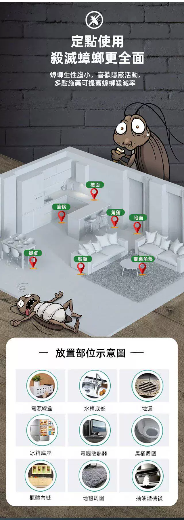 15.webp
