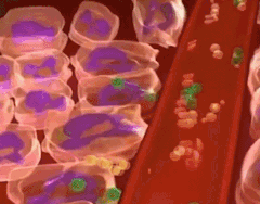 DM_20260602180707_019.gif