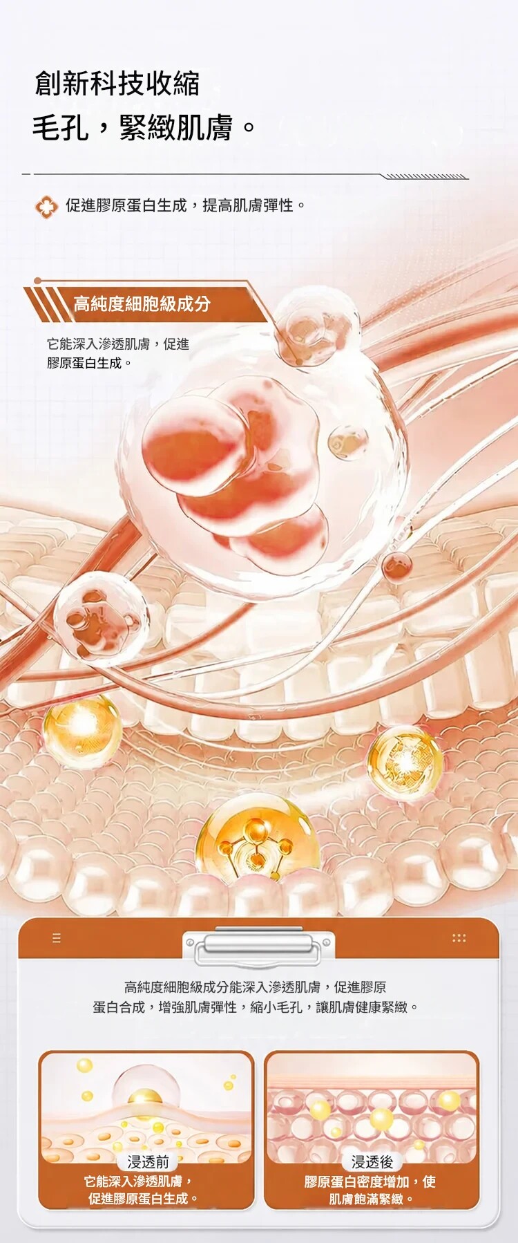 详情09.jpg