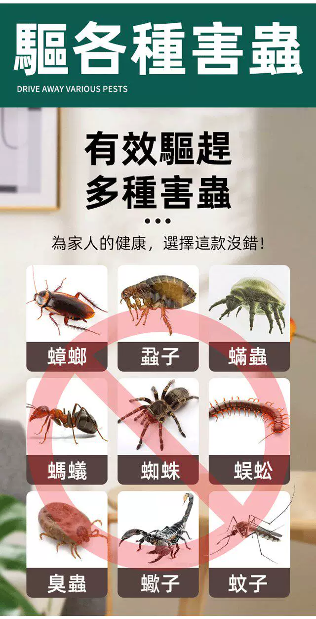 06.webp