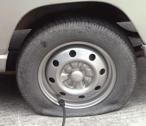 20260504_180152_081.gif