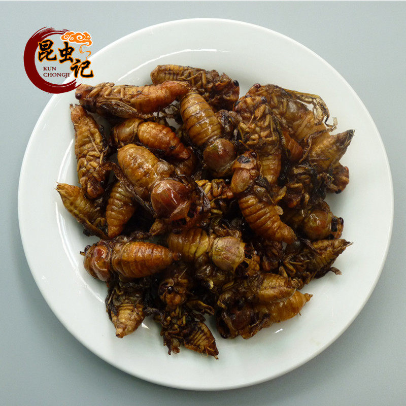 White cicadas metamorphosed as tender and white cicadas cicadas have just metamorphosed 30-Taobao