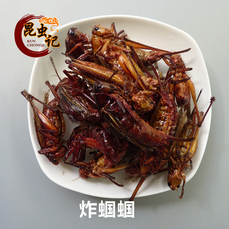 Fresh tadpole and eating insect gourmet insect 50 grams