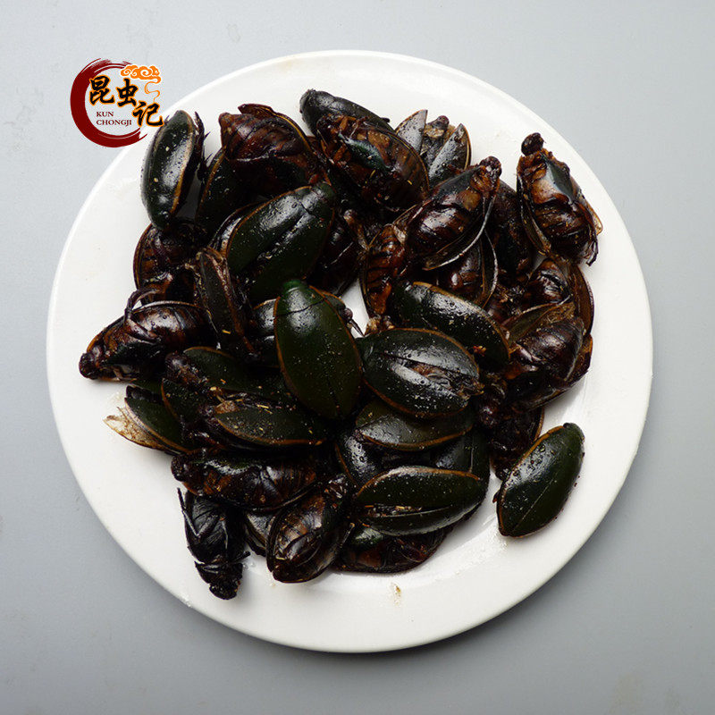 Phnom rimmed Dragon lice New Dragon lice delicious dragon lice fish turtle insect gourmet 50g weight