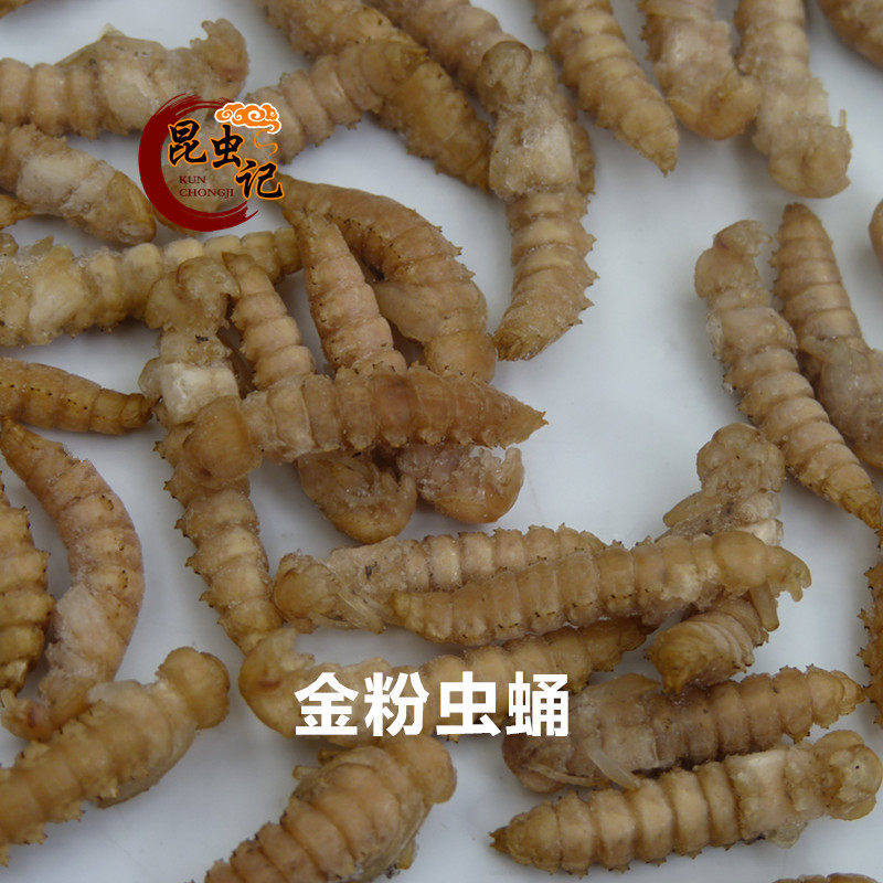 Fresh Golden Pink Worm Pupa Barley Worm Pupa High Protein Golden Pupa Insect Gourmet-Taobao