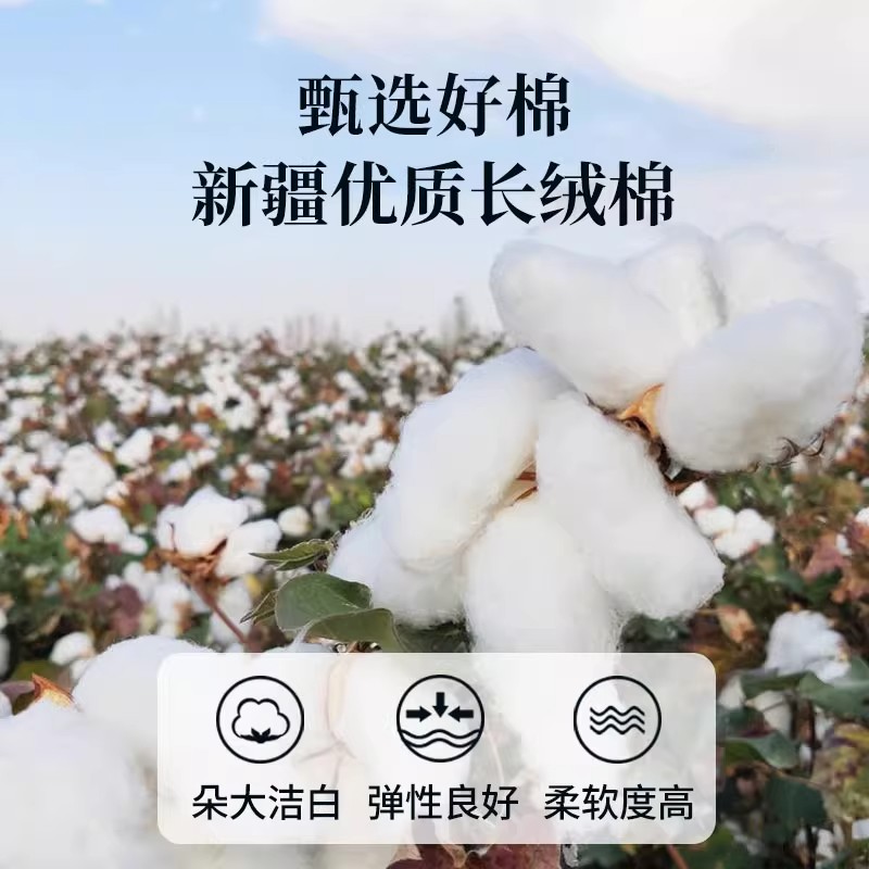 德国七星级酒店为何青睐新疆棉花制成的冬被