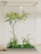 Roman's Mother's Jacaranda Artificial Plant, No-Installation Green Plant Landscaping Combination, Indoor Hotel Chinese-Style Floor-Standing Landscape