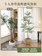 2026 New Top Ten High-End Light Luxury Artificial Green Plants Indoor Large-Scale Simulated Tree Floor-Standing Bonsai Decoration