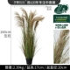 7 Top Natural Creed Green Onion и Grass Bonsai 160 см.