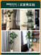 Newly Upgraded High-End Light Luxury Artificial Money Tree Potted Plant Large Leaf Umbrella Plant Indoor Fake Green Plant Decorative Ornament