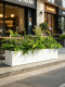 Modern Minimalist Artificial Green Plants with a High-End Feel, Flower Troughs, Floral Landscaping, Fake Plant Landscapes, Mall Partitions, Soft Decoration Scenery