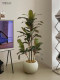 Roman's Mother's Artificial Green Plant Potted Velvet Fake Plant Indoor Living Room Floor-Standing Large Bonsai Decoration