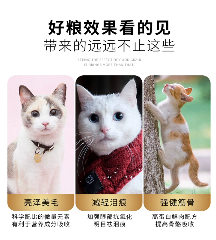 Al Duck Meat Cranberry Fresh Meat Cat Food Mèo con mèo trưởng thành Anh Anh ngắn Mỹ ngắn Ba Tư Xiêm Mèo Thực phẩm 10kg20 kg - Cat Staples