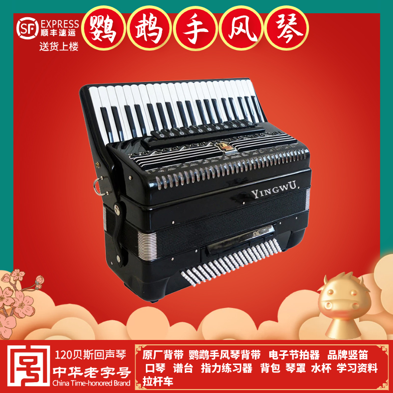 Parrot accordion YW-852 41 keys 120 bass echo piano Professional seven-one piano 