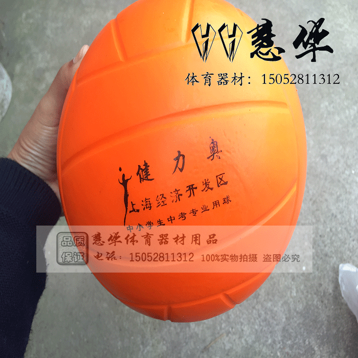 Ballon de volley - Ref 2012587 Image 3