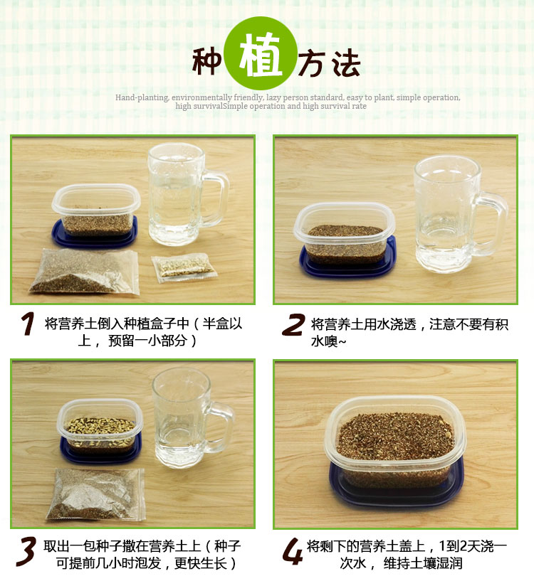Mèo cỏ hạt giống mèo thủy canh mèo trồng hạt giống cỏ Đi tóc bóng mèo ăn nhẹ mèo pome có thể được trồng 4 lần - Đồ ăn nhẹ cho mèo hạt cho mèo ăn